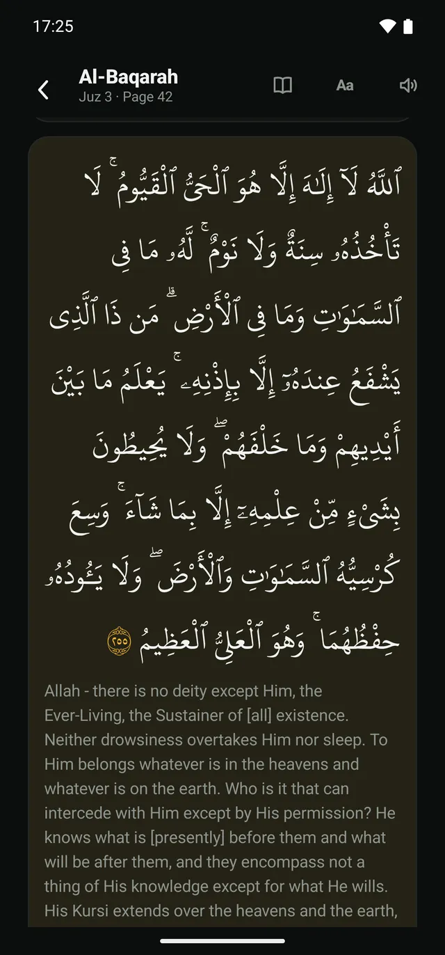 The reader in the dark theme, the translation beneath each ayah